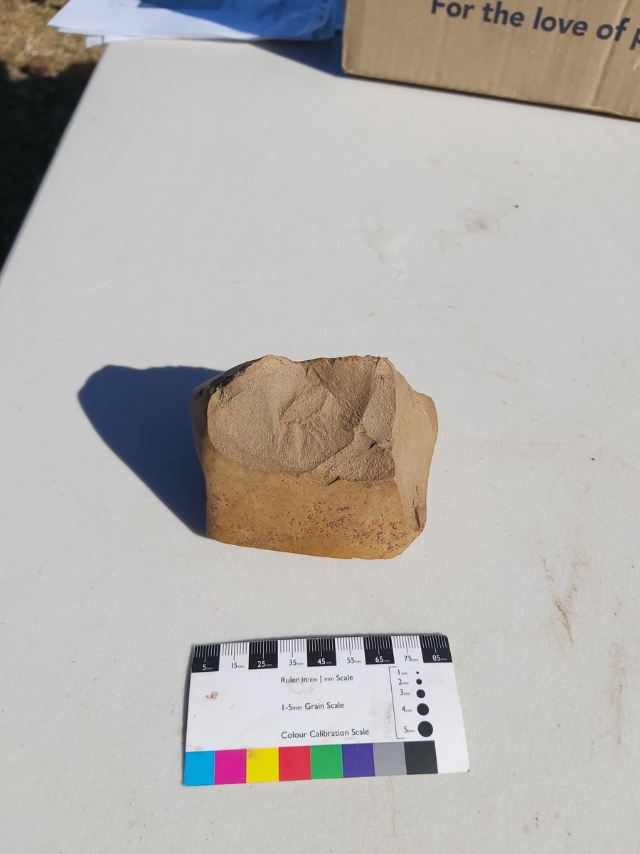 ElizabethW2527's tweet photo. Also found at the site in last couple of weeks a core of silcrete showing where stone has been flaked off for tools. Moved with permission of indigenous reps. https://t.co/9bjGPj8T2y