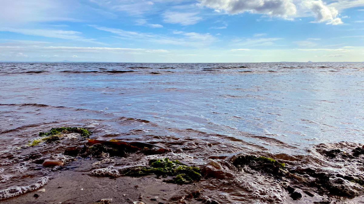 PortyLibrary's tweet photo. #MorningPorty
What’s up Porty?
Coming off another balmy weekend, perfect weather for another fabulous & successful #PortyPride!
Huge congrats to all the organisers, participants and attendees for making another joyous weekend, proving once again that #Porty loves all! 🏳️🌈🏳️⚧️❤️ https://t.co/suSpBL5jqD