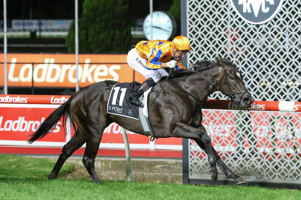 Imperatriz had a magnificent season ...  

1st – A$1m GRP 1 William Reid Stakes, Melbourne
1st – GRP 1 BCD Sprint
1st – GRP 1 Sistema Railway
1st – GRP 2 Westbury Classic
1st – GRP 2 Waikato Stud Foxbridge Plate
2nd – GRP 1 Canterbury Stakes, Sydney 

teakauracing.com/news/imperatri…