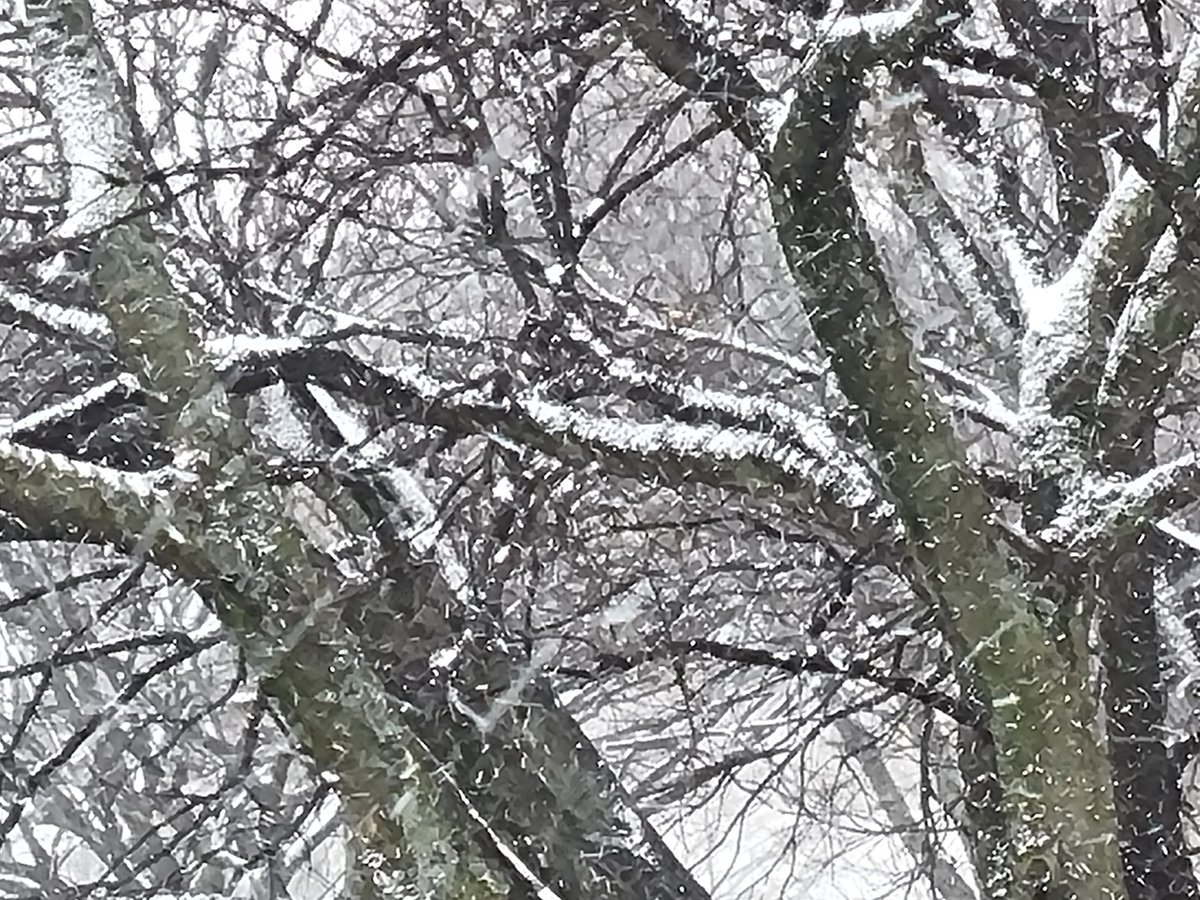 Kathy Kaler tweet media