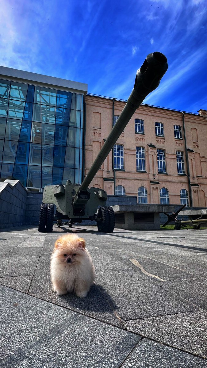 Let slip the dogs of war