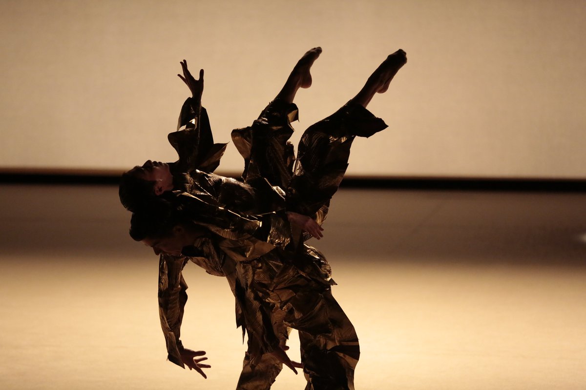 Noism Company Niigata(ノイズム) tweet media
