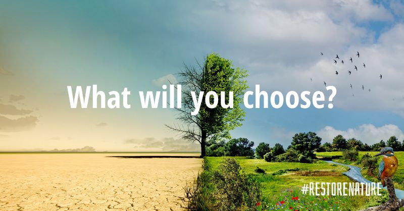European Environmental Bureau (@green_europe) on Twitter photo On Wednesday, the 🇪🇺EU Parliament will vote on the Nature Restoration Law
This vote is no ordinary vote:
🌸it's a vote for #nature
👬for the survival of our citizens
💸for our economy
🌍for our #climate
⏭️for our future
All eyes are on <a href="/Europarl_EN/">European Parliament</a>: it's time to #RestoreNature On Wednesday, the 🇪🇺EU Parliament will vote on the Nature Restoration Law
This vote is no ordinary vote:
🌸it's a vote for #nature
👬for the survival of our citizens
💸for our economy
🌍for our #climate
⏭️for our future
All eyes are on <a href="/Europarl_EN/">European Parliament</a>: it's time to #RestoreNature