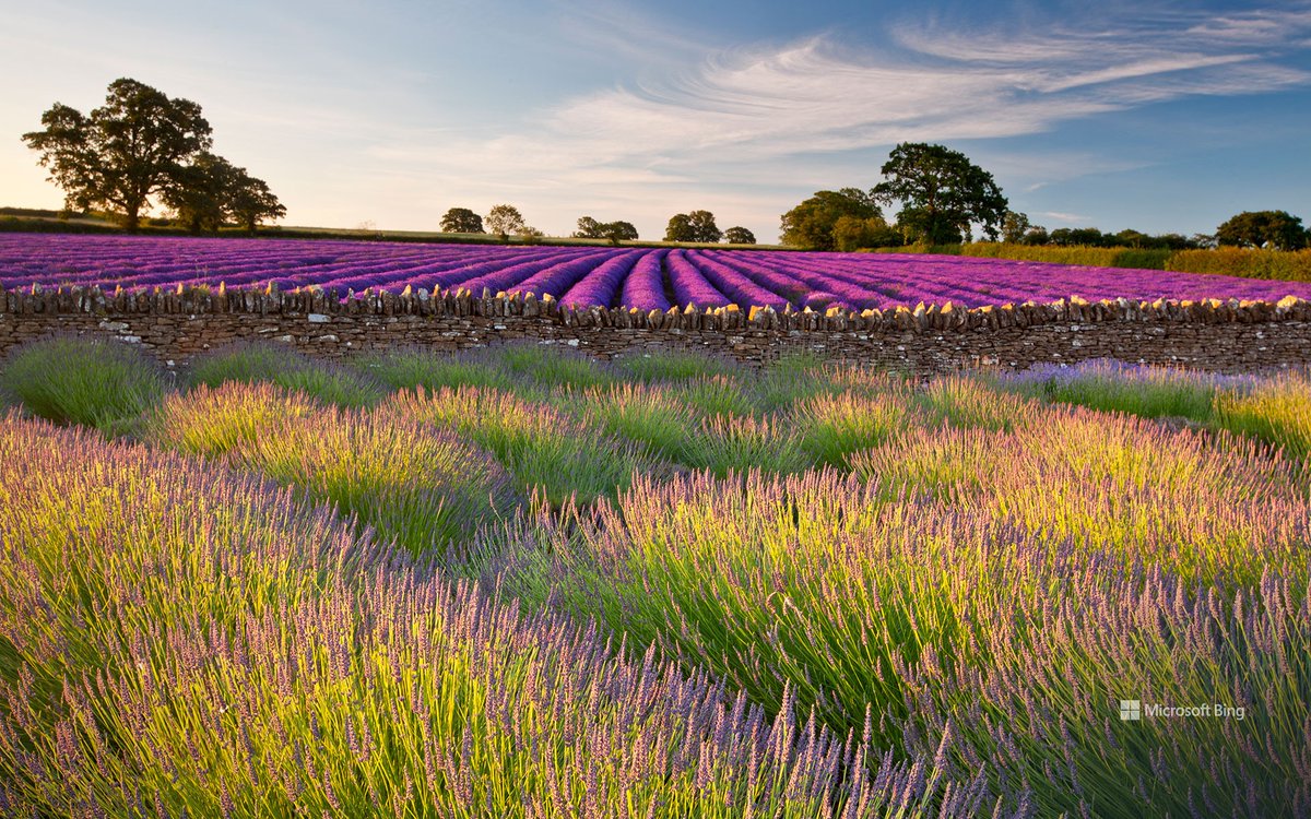 Günün Fotoğrafı (Bing)