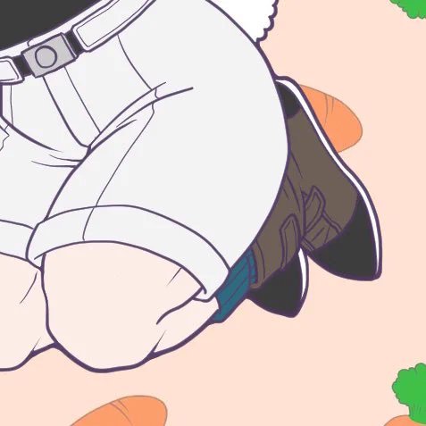 癒しのふくらはぎリブソックスくん直近4枚たまった 