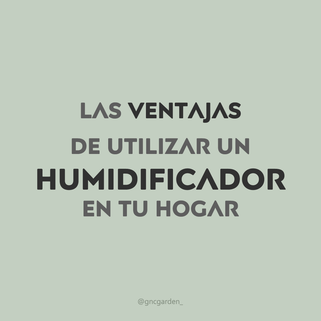 gncgarden's tweet photo. 🌿 Descubre los beneficios de un humidificador en tu hogar 🌬️💧
#HogarSaludable https://t.co/zXoxu3ycVg