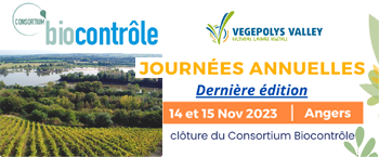 VEGEPOLYSVALLEY's tweet photo. [SAVE THE DATE] Journées annuelles du consortium biocontrôle 2023, dernière édition
📆 14 &amp; 15/11/23 📍Angers
Clôture du #Consortium : bilan + résultats des projets précompétitifs + suivi du Grand Défi "#Biocontrôle &amp; #Biostimulation pour l'Agroécologie"
👉https://t.co/yxN3nHV3mJ https://t.co/U26gA43oqe
