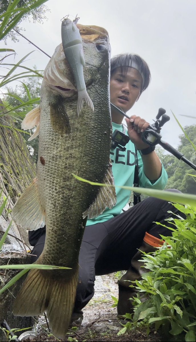 Ryouga_bass_'s tweet photo. 久々投稿一気に載せ👍
仕事で中々釣りに行けなかった😇
#バス釣
#ブラックバス
#釣り好き
#野池
#リザーバー
#FLAG170
#G_FLAG150
#カバースキャット
#スクーパーフロッグダディ https://t.co/VgmJto62c9