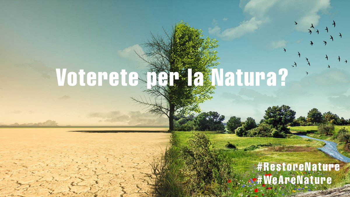 LipuODV's tweet photo. È tempo di votare per la natura. Lo chiedono i cittadini, i giovani, gli scienziati, le imprese, l'agricoltura, il clima, gli ecosistemi.
@salv_de_meo, @F_Peppucci, @toiapatrizia, @pinapic,  
 @LuciaVuoloEU, @bartolopietro1, @CaterinaChinnic
Votate #RestoreNature #WeAreNature https://t.co/WfbZ6avmOO