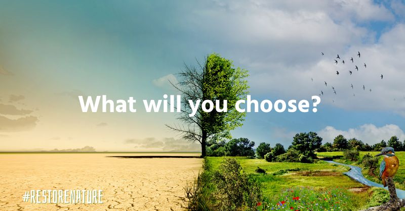 There is no food without nature. There is no business on a dead planet. There is no fight against the #climatecrisis without restoring nature. On Wednesday, the EU Parliament will vote on the law to #RestoreNature. Our future depends on the outcome.