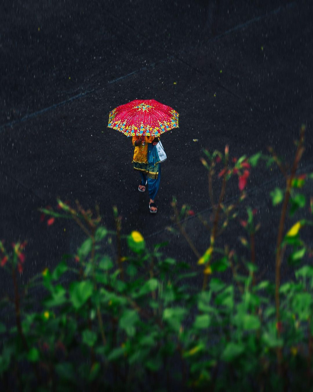 Ganesh Vanare On Twitter GM Umbrella Weather And Cozy Moments ganesh-vanare-on-twitter-gm-umbrella-weather-and-cozy-moments