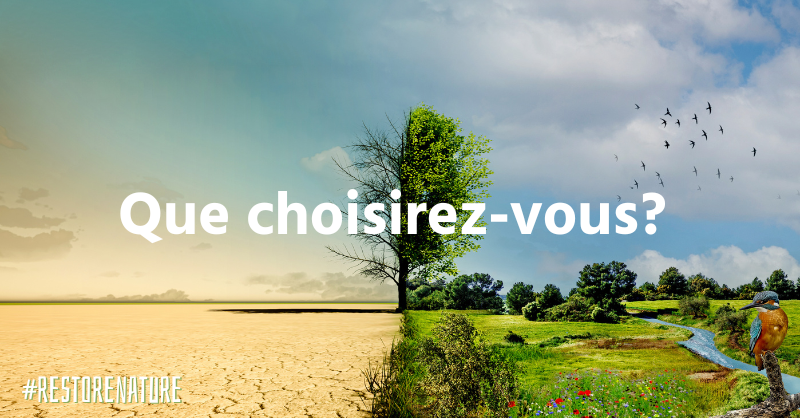 Votez pour la nature !🌱
Nos citoyens, nos scientifiques, nos entreprises, notre agriculture, notre climat &amp; nos écosystèmes vous le demandent. <a href="/AgnesEvren/">Agnes Evren</a> <a href="/ncolin_oesterle/">Nathalie Colin-Oesterlé</a> <a href="/NathalieLoiseau/">Nathalie Loiseau</a> <a href="/guetta_en/">Bernard Guetta</a> <a href="/ITolleret/">Irène Tolleret 🇨🇵🇪🇺🇺🇦🚀!</a> <a href="/steph_sejourne/">Stéphane Séjourné</a>
Votez pour la loi sur la restauration de la nature !