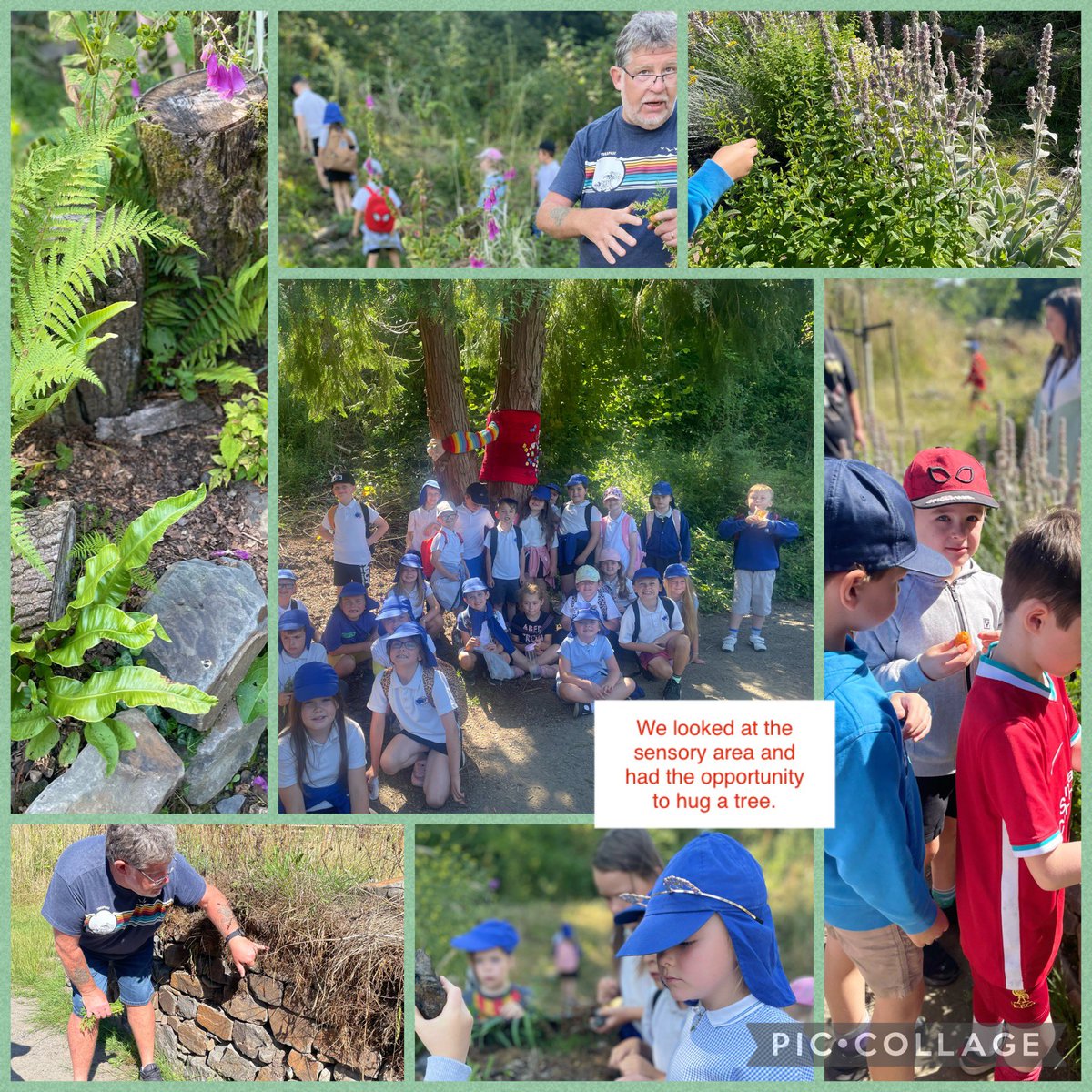 Ysgol Bro Banw tweet media