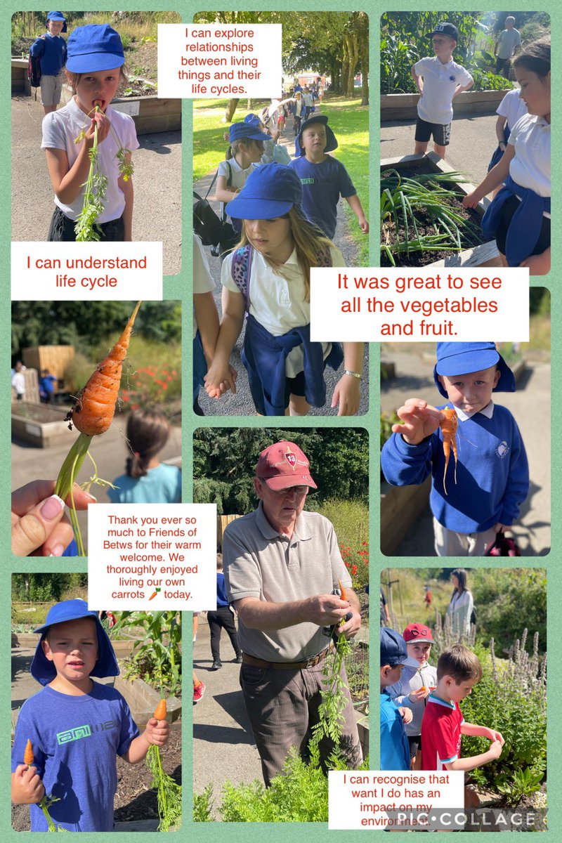 Ysgol Bro Banw tweet media