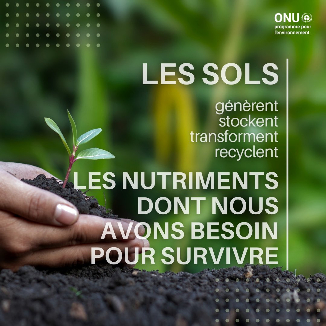 Les sols sont le point de départ de notre alimentation.
L'amélioration de la fertilité des sols est essentielle pour la biodiversité, car elle fournit des nutriments essentiels à la croissance des plantes.