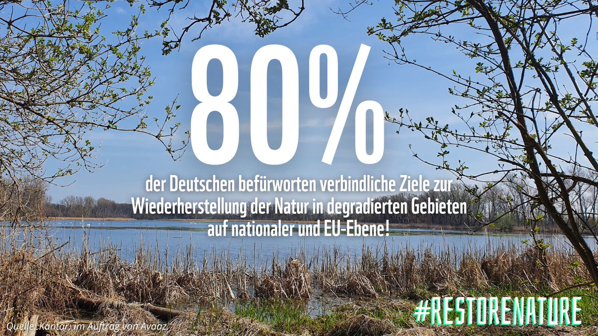 WWF_Deutschland's tweet photo. #RestoreNature:
🌳 stärkt die Artenvielfalt 
🌳speichert CO2 
🌳 verhindert Waldbrände 
🌳 macht resilienter gegen Klimakrise 
🌳 hilft bei Hitze und gegen Dürre
🌳 mildert Starkregen
🌳 sichert Ernährung

DAS hat auch die Mehrheit der Deutschen verstanden 👇 https://t.co/HbcocVv7EP