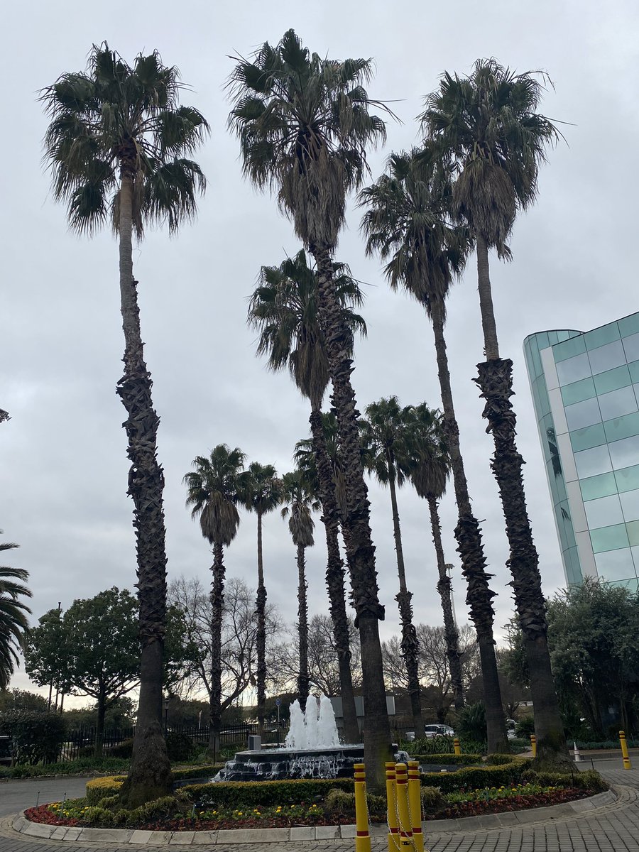 THENSAZA's tweet photo. Word on the street is that @SouthernSunGrp OR Tambo International Airport Hotel is considering building a THENSA wing given how often we’re here 😉 Today is the start of Module 2 of the #DSITHENSA #PhDProposalProgramme with our lovely cohort. Here’s to a productive week! 👊🏽 https://t.co/hfqJnOvAml