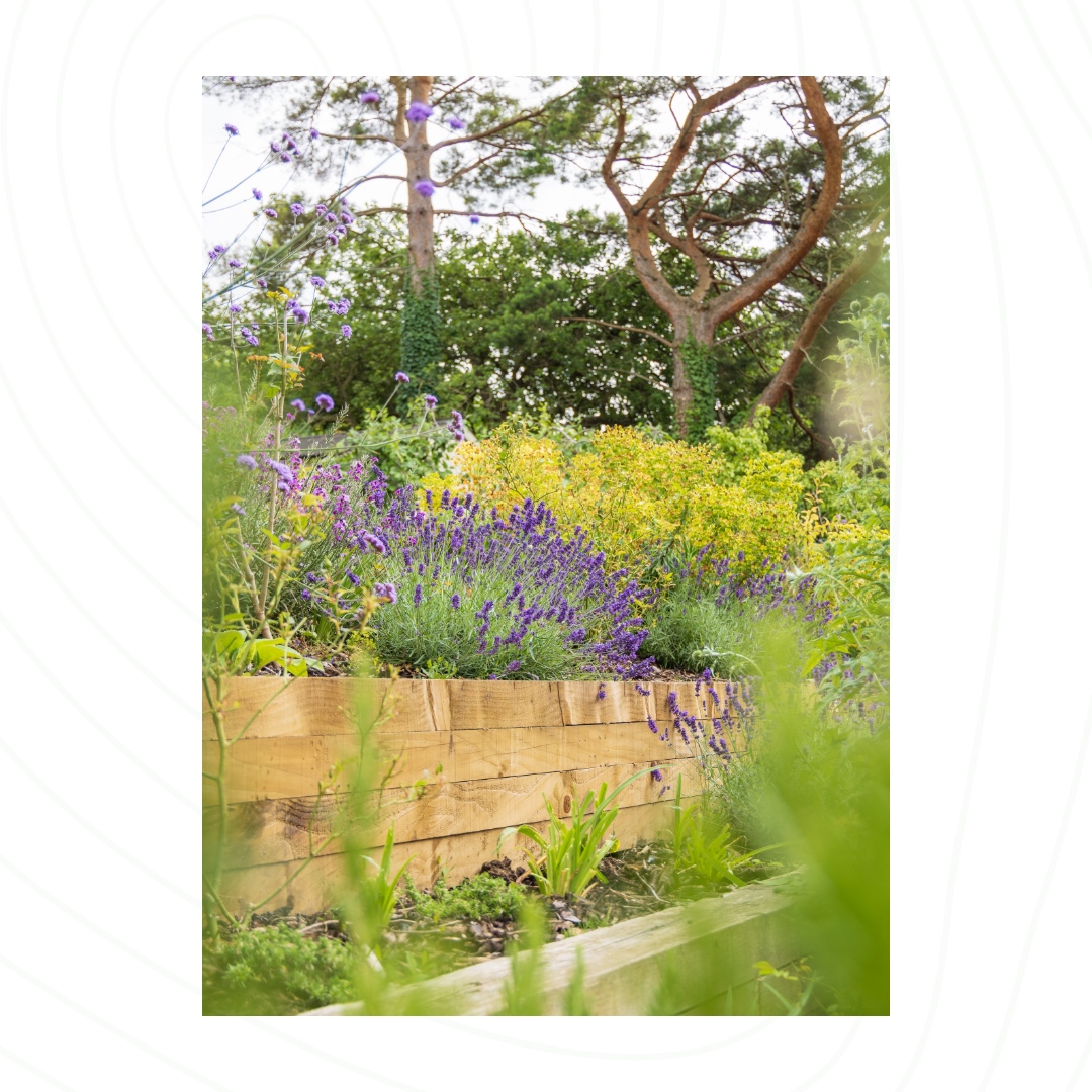 BrettHardyLands's tweet photo. Let's get the ball rolling on your next project before the kids are off school on their summer holiday! 

✅ Years of design experience 
✅ Award winning professional landscapers
✅ Comprehensive aftercare and support https://t.co/CrgRDEe7iY