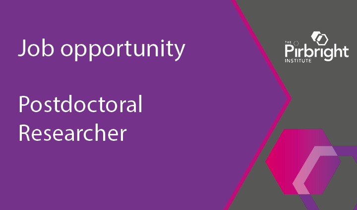 Pirbright_Inst's tweet photo. JOB: Our African swine fever virus group is looking for a Postdoctoral Researcher to investigate the transcription of a large DNA virus for global food security, a project in collaboration with Prof. Finn Werner @ucl 

Apply now ➡️https://t.co/5wbozhVNVP https://t.co/eYds6LB1jl