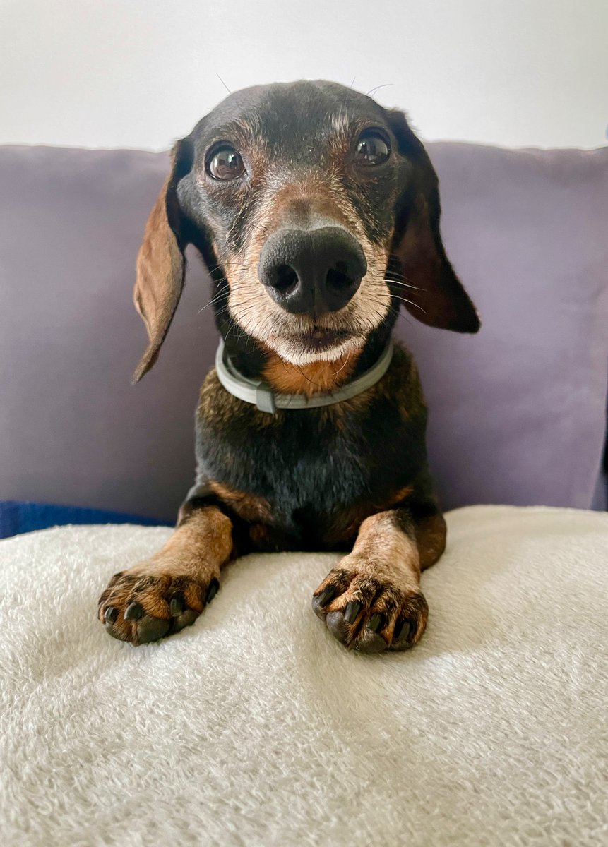 Stephanie🥨 tweet media