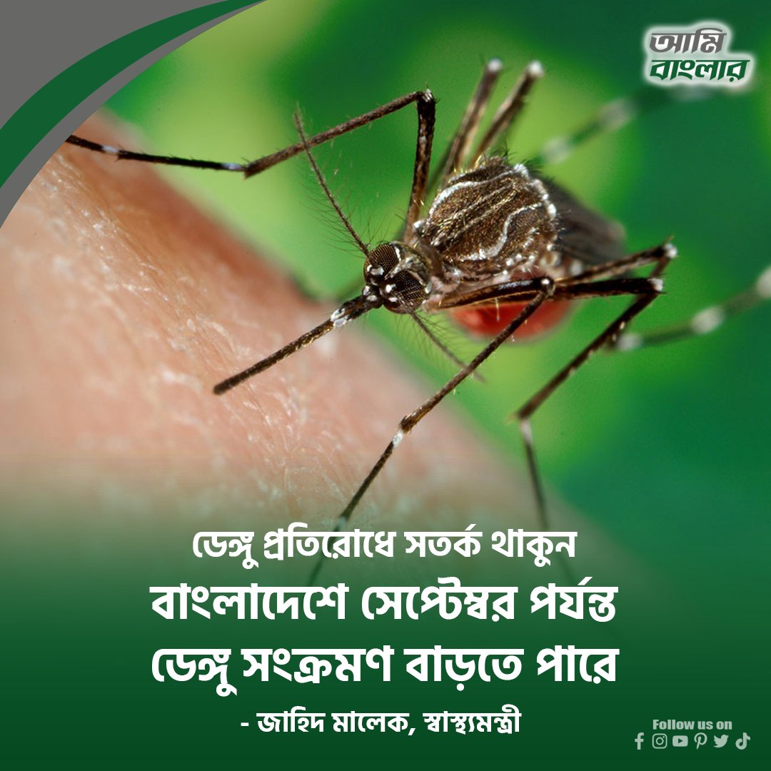 amibanglar1's tweet image. বাংলাদেশে সেপ্টেম্বর পর্যন্ত ডেঙ্গু সংক্রমণ বাড়তে পারে: স্বাস্থ্যমন্ত্রী জাহিদ মালেক

#denguefever #StopDengu #health #Bangladesh