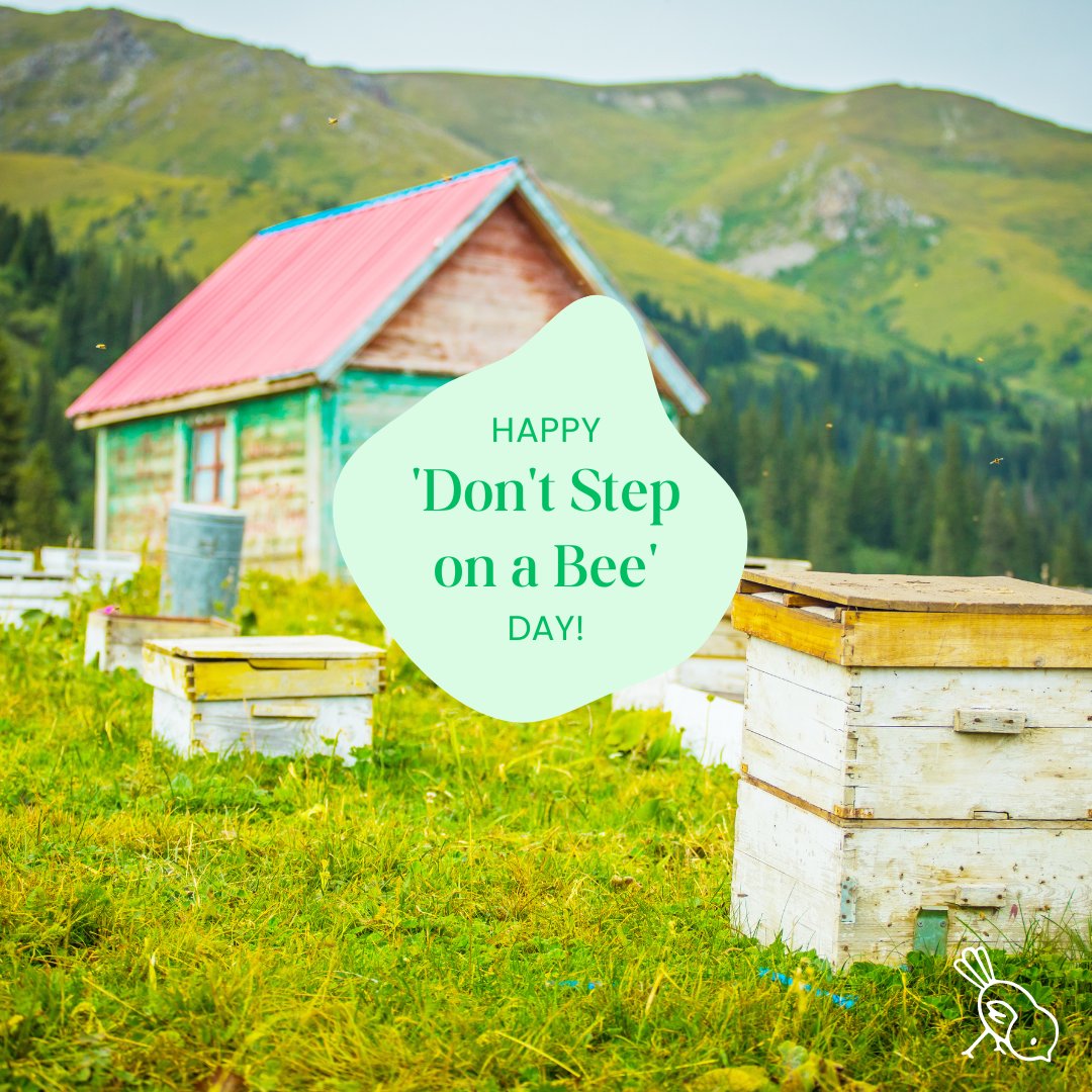 🐝💚 Happy #DontStepOnABeeDay! 🌼 Let's celebrate &amp; protect our buzzing friends who are vital pollinators. 

👉 Plant bee-friendly flowers, avoid pesticides &amp; #DontStepOnABee ! 

#SaveTheBees #BeeConservation #Sustainability
