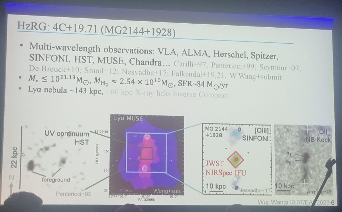 W. Wang looks at radio galaxies at cosmic high noon where we expect the build-up of monsters. 
Here's a nice multi-wavelength view of a z=3.5 source! #EAS2023Krakow #EAS2023