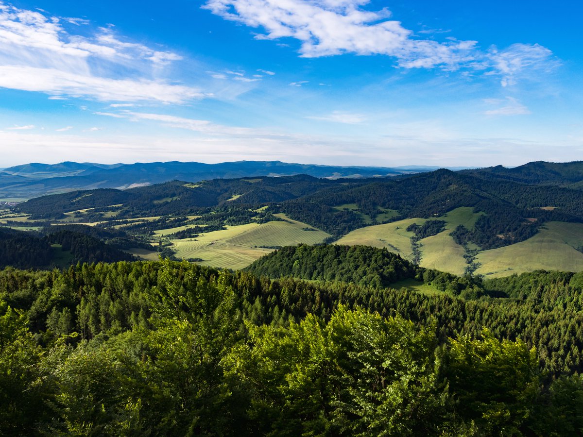 #funfactfriday Slovakia is a real green paradise!

Forests cover approximately 41% of the country, making Slovakia one of the most forested countries in Europe.

Walk along our forest trails and discover the natural wonders that Slovakia has to offer! 🌳