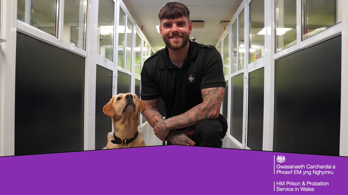 HMPPS in Wales / HMPPS yng Nghymru (@hmppscymru) on Twitter photo 🐕 Meet Eira, a drug detection dog who works with Officer Davies <a href="/HMPSwansea/">HMP Swansea</a>
Drug detection dogs play a crucial role in preventing illegal contraband from entering prisons, and they help to keep prisoners and staff safe.
#DrugDetectionDog 🐕 Meet Eira, a drug detection dog who works with Officer Davies <a href="/HMPSwansea/">HMP Swansea</a>
Drug detection dogs play a crucial role in preventing illegal contraband from entering prisons, and they help to keep prisoners and staff safe.
#DrugDetectionDog