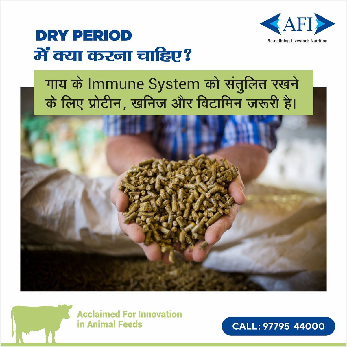 A well-balanced ratio of energy, protein, minerals, and vitamins: important in keeping the immune system of the cow at an optimal level and in maintaining an optimum body condition score (3 - 3.5)

#DryCowTherapy #Dairy #Feed #AnimalFeed #AnimalHealth #MilkProduction https://t.co/mDhIb6oJNV