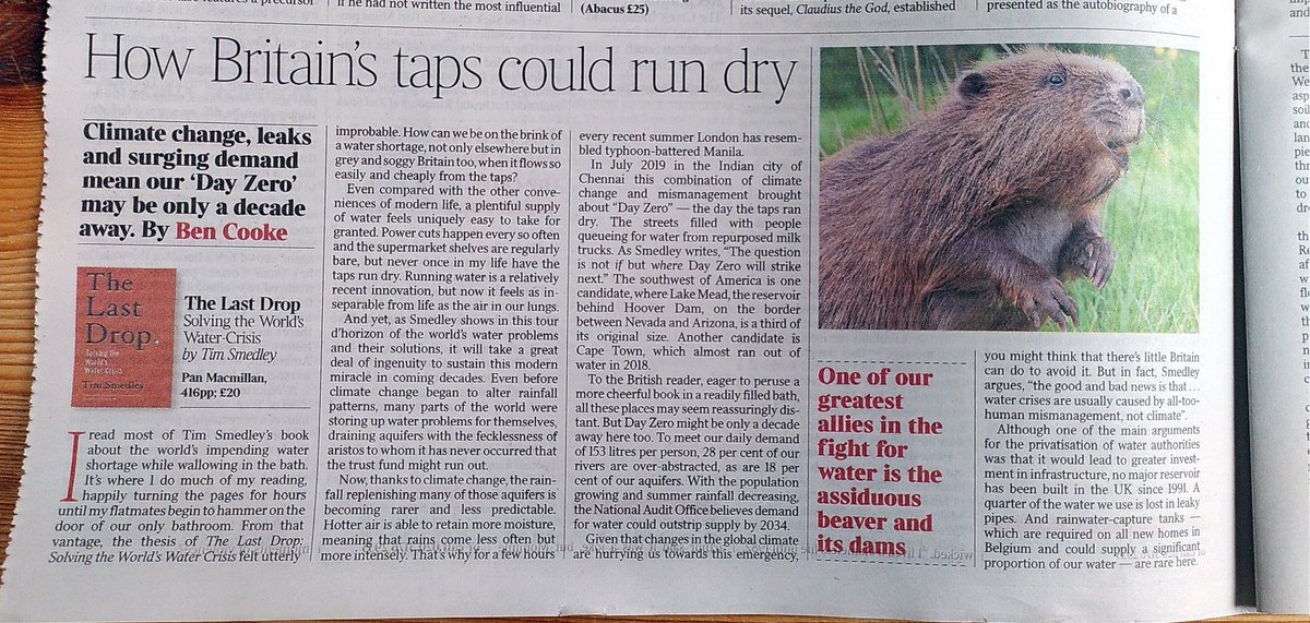 Weekend clipping! My thanks to @BenCooke135 at @thetimes for covering my book (and beaver)! 🦫 #TheLastDrop