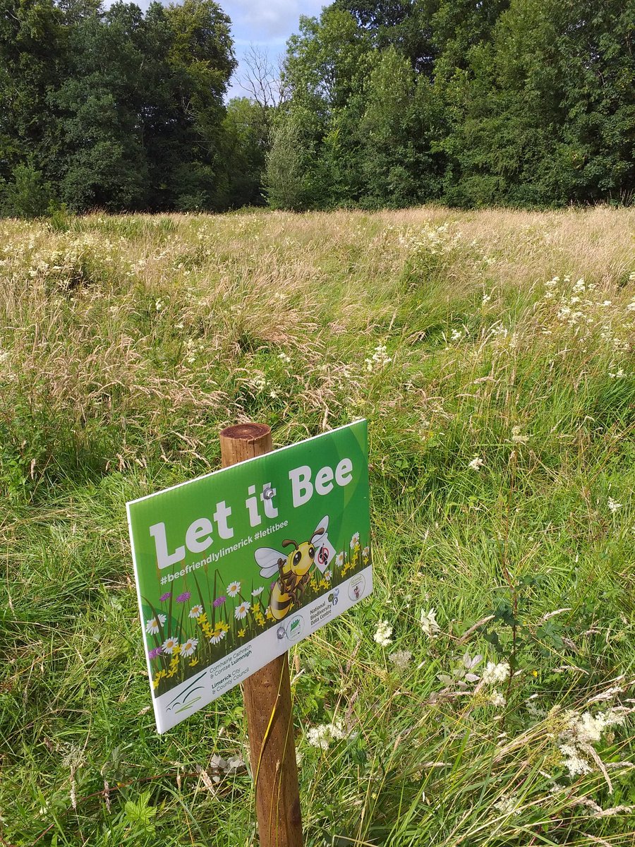 GeoffHunt11's tweet photo. Newcastle West Demesne let's it Bee. Well done to Limerick and City county Council https://t.co/hy30OGeEJ6
