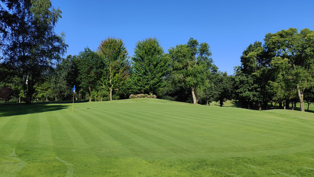 ElsoAyala's tweet photo. Tan sólo una semana ha pasado del pinchado de Greenes, muy buena pinta tienen!! ⛳🔝👏💪 #GolfUlzama #greenkeeping #GoodJobTeam #SportTurf #turfgrassmanagement #thankyouteam https://t.co/Oxs4y2FdNW