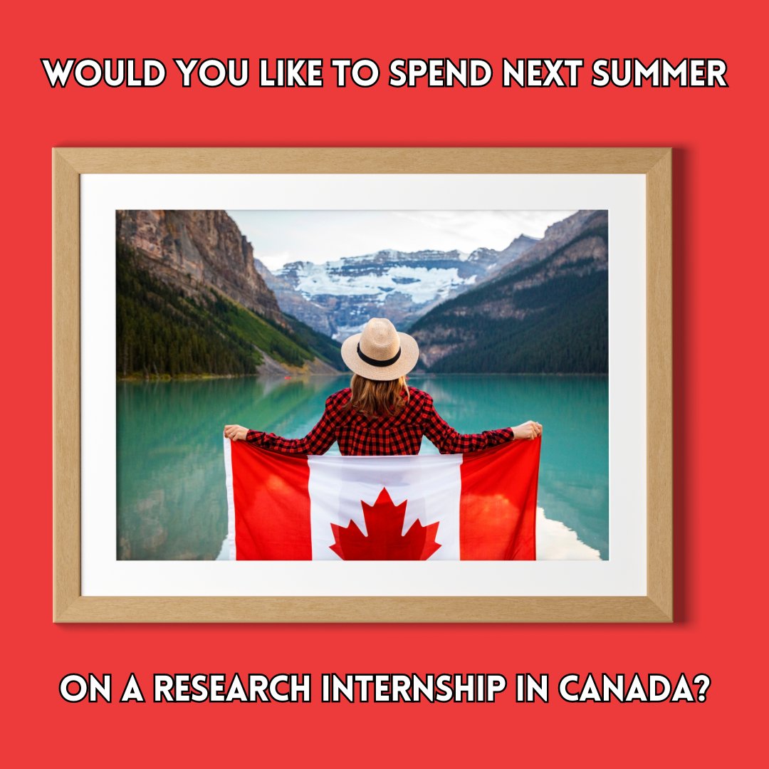 UoMSALCStudents on Twitter "Are you an undergraduate student