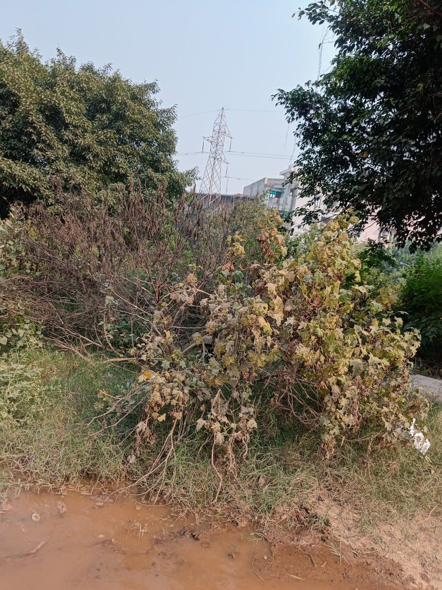 PulkitSharma2's tweet photo. @AMRUTCityGzb @sunitadayalbjp @NSA_GNN Dear @gdagzb @CMOfficeUP @AayuktaNagar @sunitadayalbjp as a resident of Avantika 2 Ghaziabad, I am deeply concerned about the poor state of roads, sewage systems, &amp; parks in our area. Urgent action is needed to rectify this situation and ensure a better quality of life. #GDA https://t.co/RLTCHzs3Wg