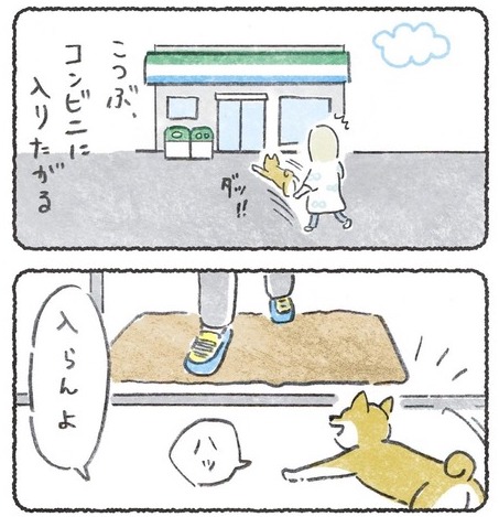 「ちょっとコンビニ寄るね」ってなるの、人だけじゃなかった🐕

この話→https://t.co/qIC3rpDU1c 