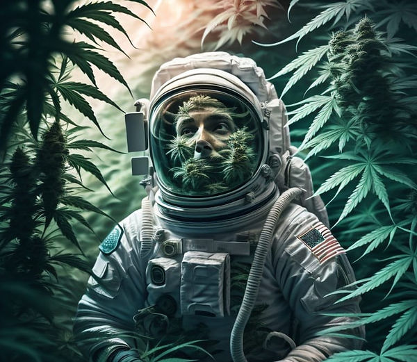 Cultivating Cannabis in Outer Space: A New Frontier for Plant Growth
thecannaclub.co.za/post/cultivati…