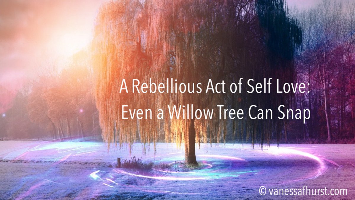 A Rebellious Act of Self Love Self Love is Self Care Because Even a Willow Tree Can Snap - mailchi.mp/2ca2e551012b/y…