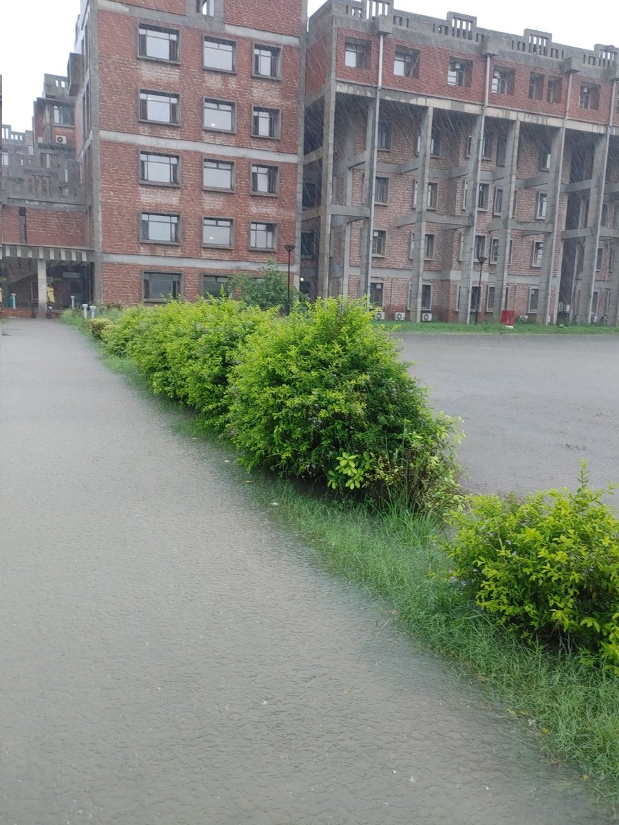 AmalGeoB's tweet photo. Over 400mm of rain poured in just 50 hours, the highest downpour in Mohali and Chandigarh. Stay safe and resilient. Photos from IISER mohali campus🙏🏾💧#Chandigarh #Heavyrainfall https://t.co/wJ0PdQaMVF