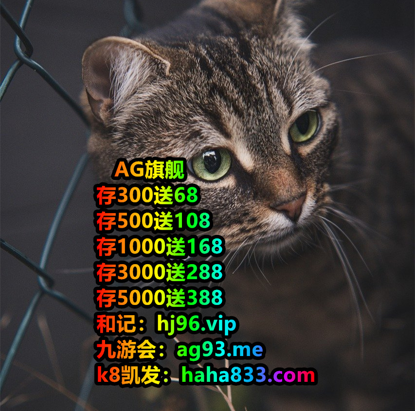 “The Academy has a habit of    #百家乐 #买球网站 #bet365 体育投注 体育投注  sending a representative to third year students to discuss various matters of interest.