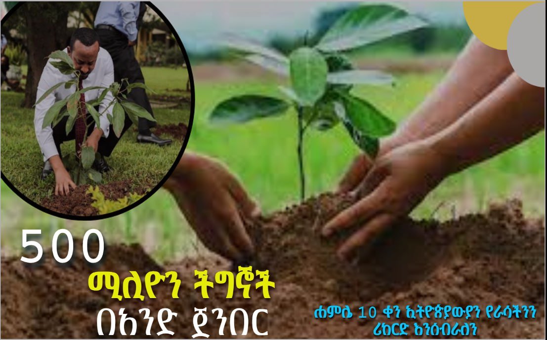 #GreenLegacy Initiative  Its #Opportunities for Sustainable Dev't 🇪🇹 Supply of forest products, Conserve biodiversity, Carbon finance, Wildlife preservation, Improve air quality, Mitigate Climate Change #GERD #ItsOurDam @AbiyAhmedAl @KiyaEthiopia @yitagesutad @Eneye262077491