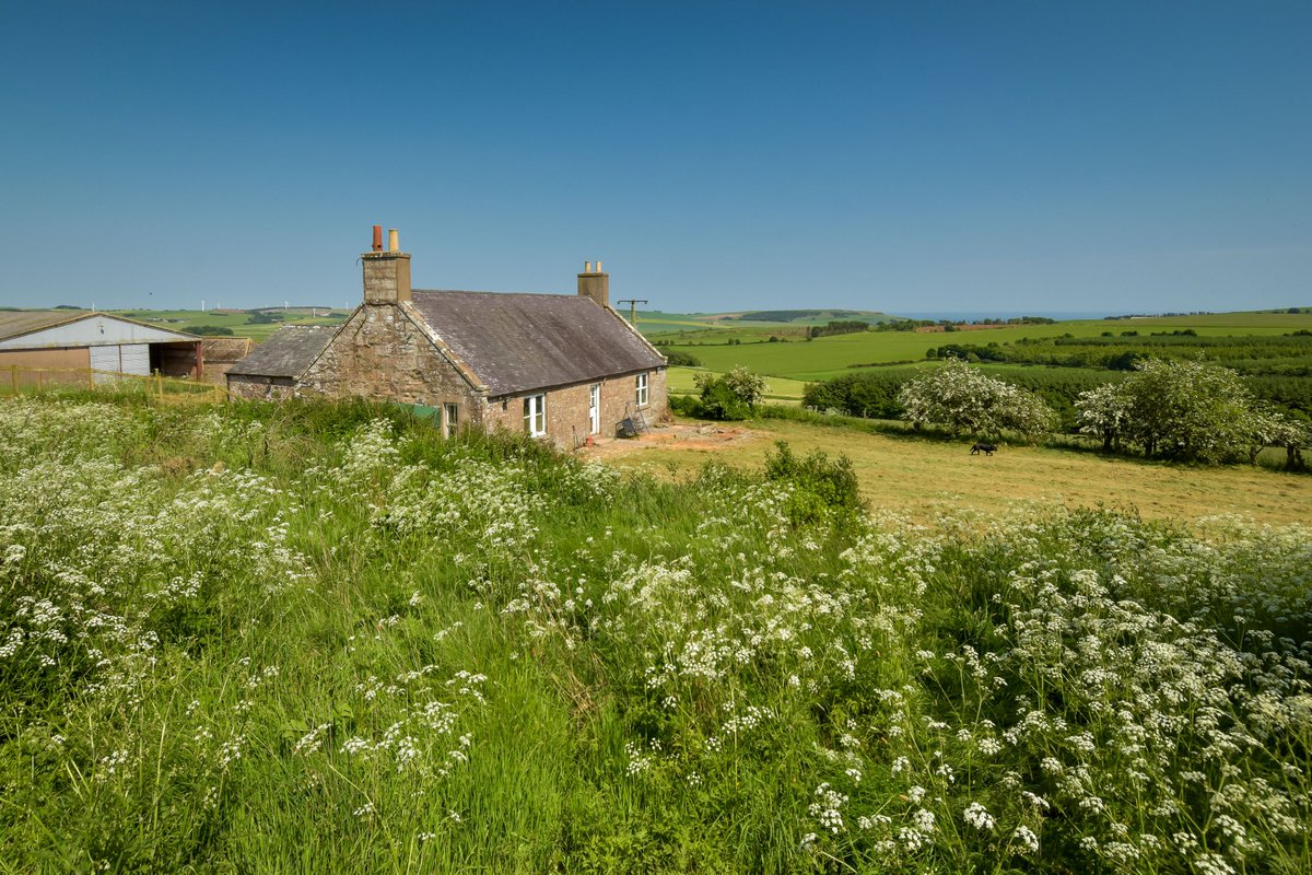 NEW | BANFF FARMHOUSE, ARBUTHNOTT 🐔

A single story 3 bed cottage dating back to the 1900’s, with tremendous renovation potential.

☎️For further info or to view, contact us on 01224 860710.

Full listing available at: shorturl.at/aertO

#NewToTheMarket #ViewingRecommended