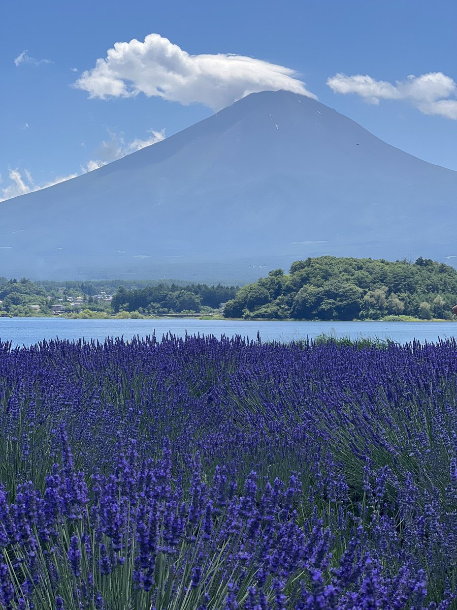 Japan Day 14 - the sky was clear and Fuji-san finally came out to show off. I was in awe and so deeply grateful to have this opportunity. What a beautiful day! <a href="/fcpsnews/">Fairfax Schools 🌟</a> <a href="/FCPSR2/">FCPS Region 2</a> <a href="/FreedomHillES/">Freedom Hill ES</a> #fhhighlights