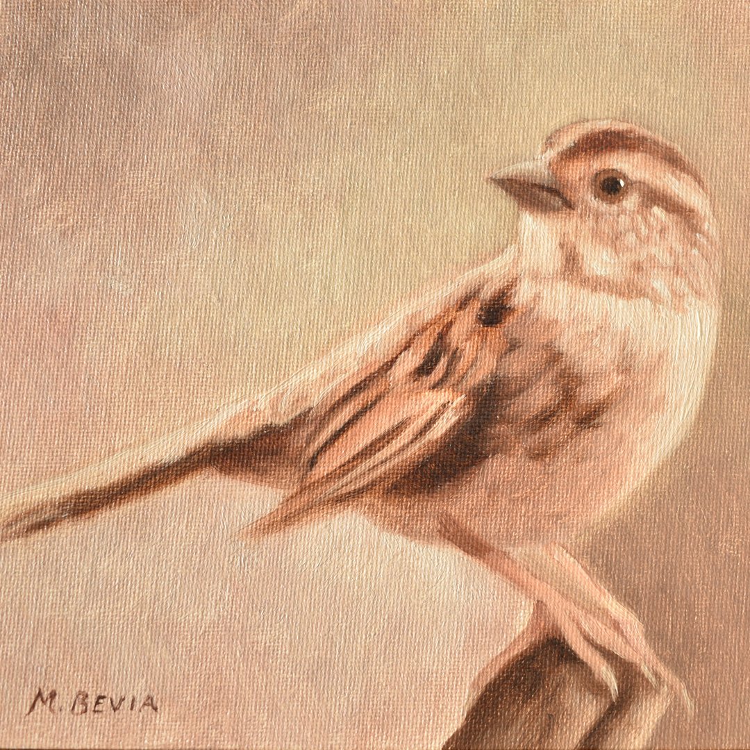 beviaart's tweet photo. New painting of a brown sparrow bird, oil on canvas board, 6x8". Available on my Etsy shop. Link in bio.
#oilpainting #sparrow #birdpainting #housesparrow #birds #birdwatching #birdlovers https://t.co/4tVNS4ixCj