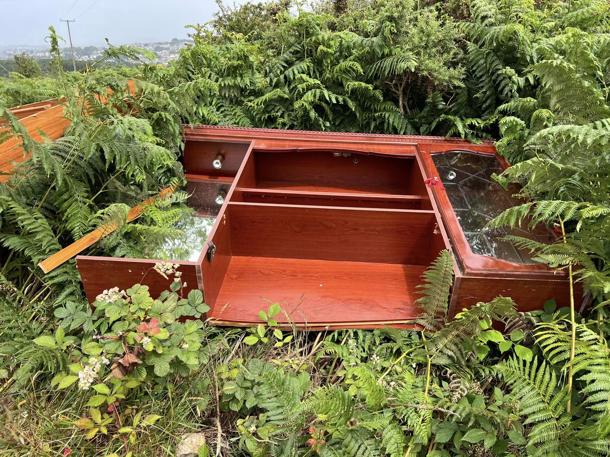 BBCCornwall's tweet image. Recognise any of this?  Furniture fly-tipped in a lane at #Lanner. Frustrated local residents wonder if photos of these distinctive pieces can help track down who is responsible. @Skentelbery is about to hear from Councillor Martyn Alvey.