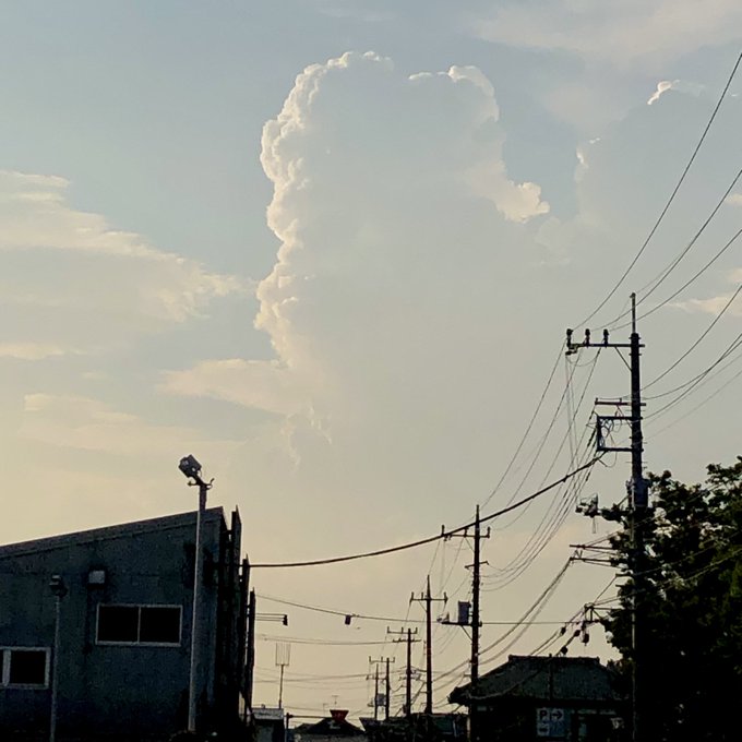 関東平野の夏、ちょっとした地獄。 