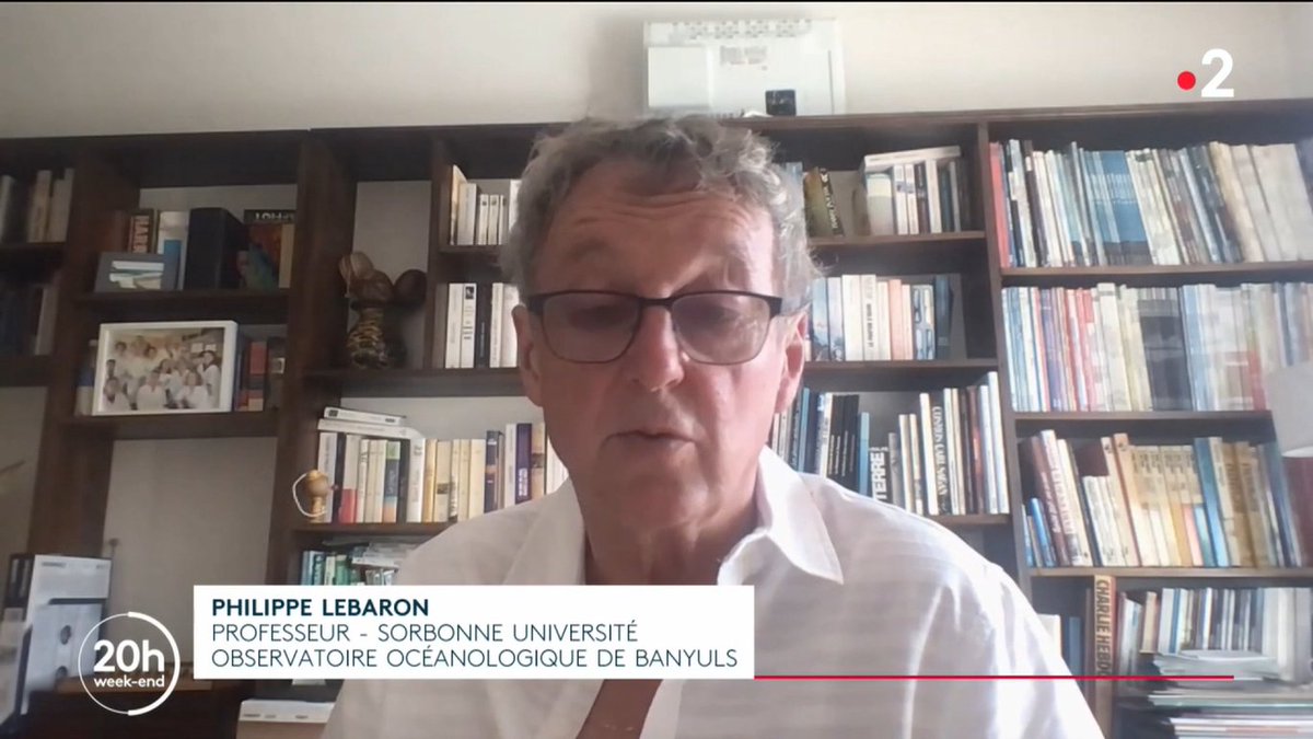 Sorbonne_Univ_'s tweet image. &quot;Une fois qu’il a passé la barrière de la peau, il peut induire des effets cancérigènes !&quot;
☀ Le biologiste Philippe Lebaron (@OOBanyuls) revient sur les dangers de l&apos;#octocrylène, un filtre solaire dont l&apos;interdiction est réclamée par l&apos;@Anses_fr : francetvinfo.fr/monde/environn…
