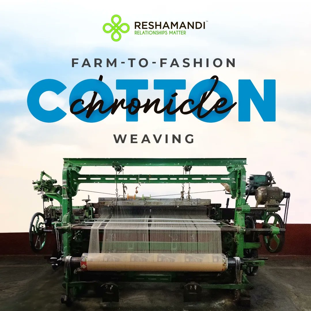 ReshaMandi tweet media