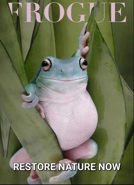 The FrogueCover this week is quiet clear - #RestoreNature Now! #NatureRestoration