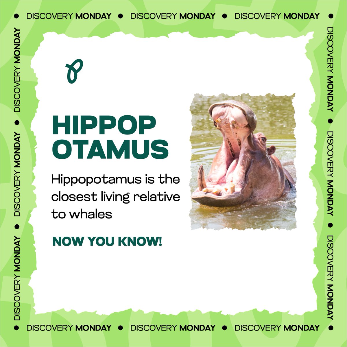 Philefun's tweet photo. DISCOVERY MONDAY: ANIMAL FACT.
follow @philefun for more. 
.
.
.
.
.
#philefun #explorepage #explore #educational #natgeowild #seyi #danielregha #pluto #skepta #wizkid #davido #olamide https://t.co/DyoDrP47rX